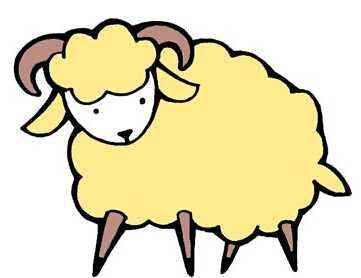 属羊的是哪一年出生的？