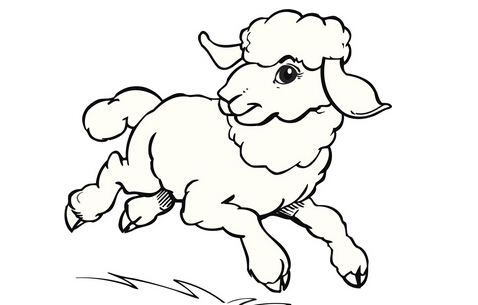 属羊的几月出生最好？