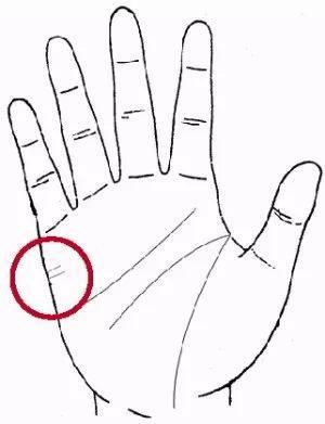 手相解析：手章中三条线代表什么？
